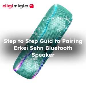 Erkei Sehn Bluetooth Speakernull
