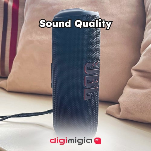jbl flip 6 vs replica